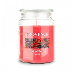 SV&Iacute;ČKA VE SKLE S V&Iacute;ČKEM 510G SPICED BERRY,1 KNOT