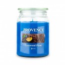 SV&Iacute;ČKA VE SKLE S V&Iacute;ČKEM 510G TEAKWOOD PLUM,1KNOT