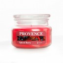 Vonn&aacute; sv&iacute;čka ve skle PROVENCE 45 hodin spiced berry