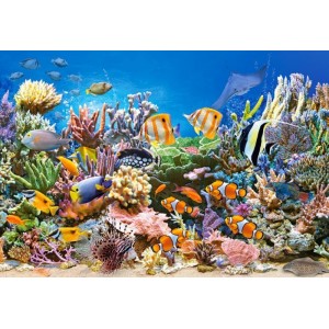 Puzzle 260 dílků - Ryby na korálovém útesu