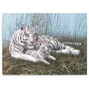 Malování podle čísel- Bílý tygr s mládětem